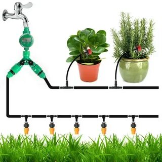 Drip watering