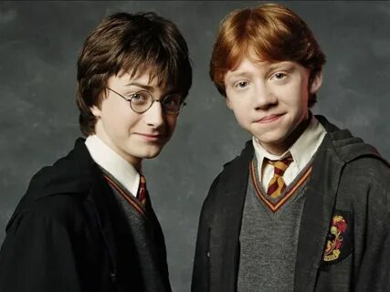 Potter p