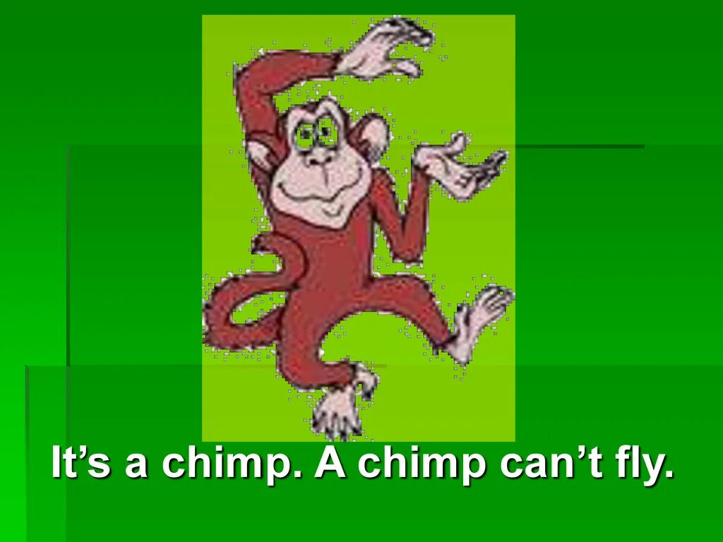 The Chimp can. Spotlight 2 класс Chimp картинки. A Chimp can Dance картинки. Как произносить Chimp. A chimp can sing