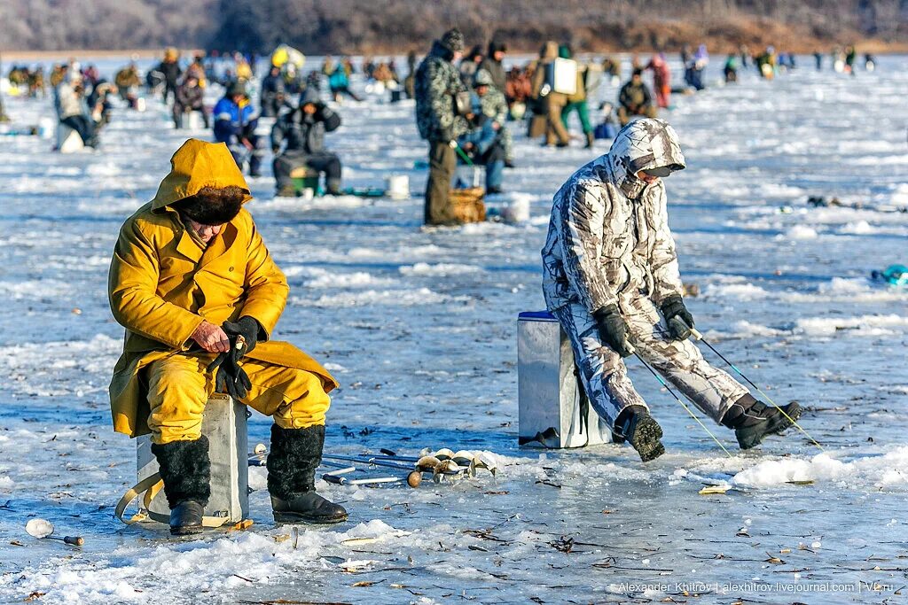 Подледная рыбалка. Рыбалка зимой. Зимняя рыбалка на льду. Рыбаки на льду. Фишинг россия