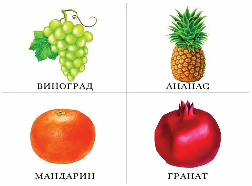 Конструкт по математическому развитию на тему "Знакомство с денежными знаками"