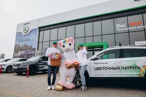 Шкода белгород