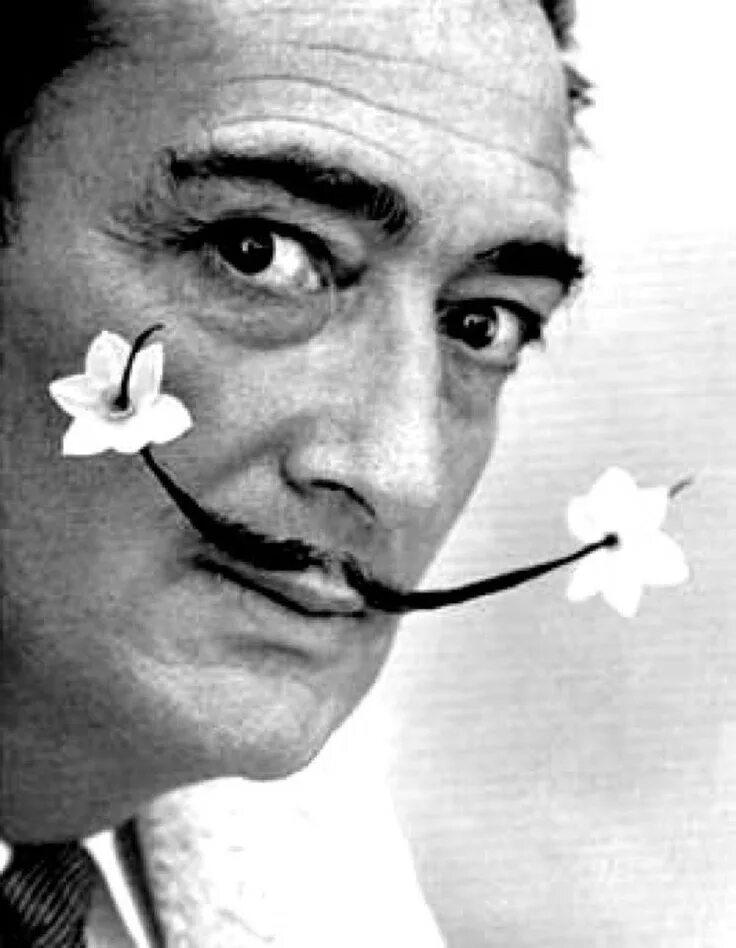 11 мая дали. Salvador dali. сальвадор дали фото. сальвадор дали портрет. dali salvador dali.