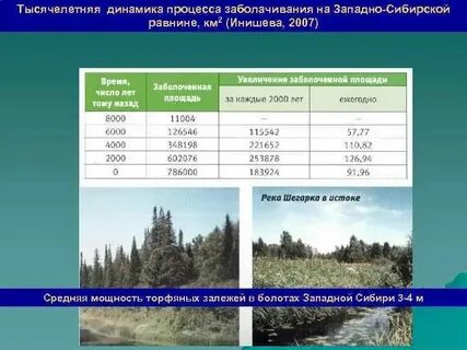 Средняя абсолютная высота западно сибирской равнины