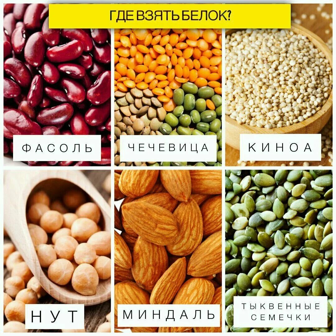 Источник белков в пост. Растительный белок. Растительный белок продукты. Белок для вегетарианцев. Белковые продукты Вегетарианские.