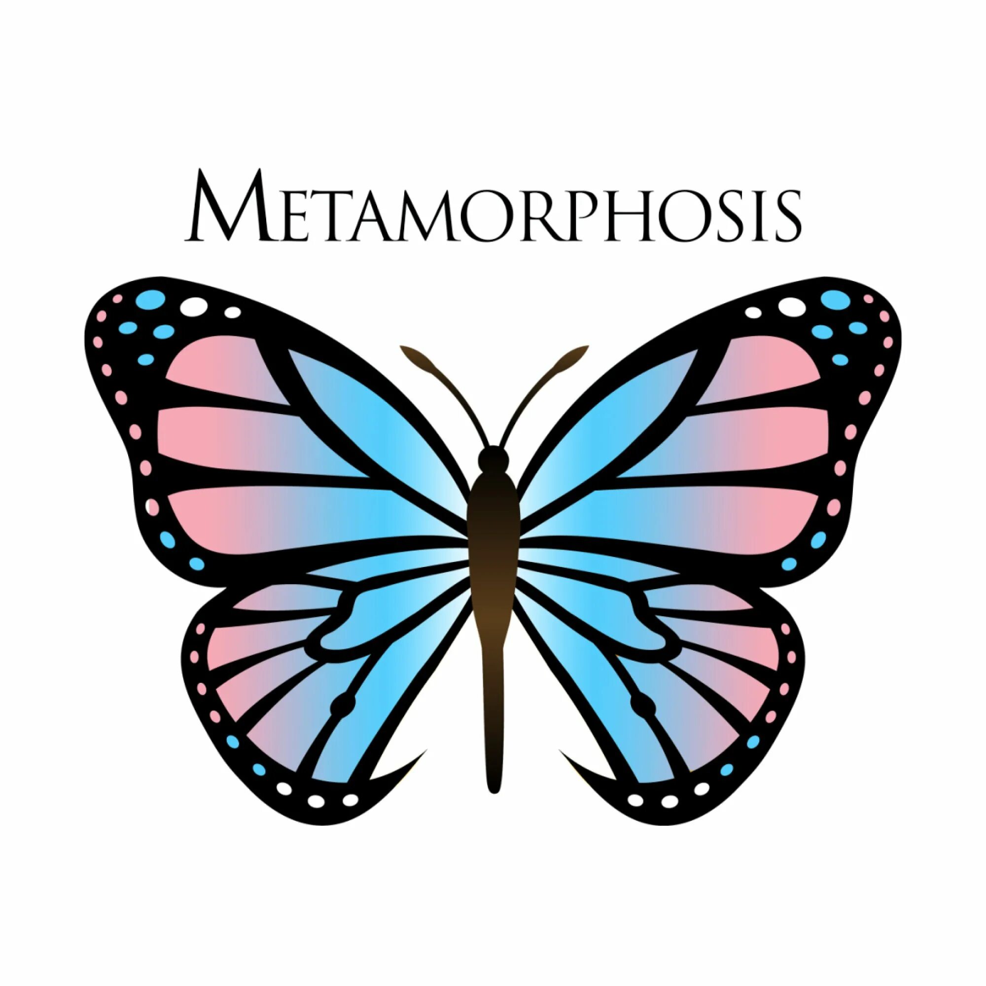 Метаморфоз бабочка барон. I ll do it x metamorphosis. Emergence metamorphosis 177013. Саки йошида 177013. I ll do it x metamorphosis.