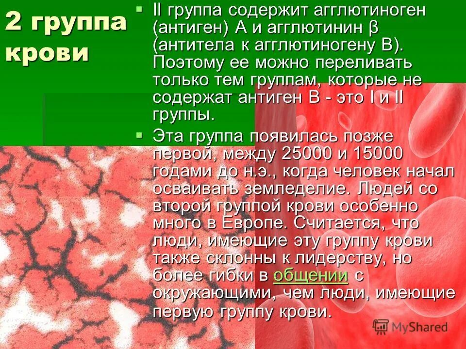 2 Группа крови. Характеристика групп крови. Вторая группа крови характеристика. Вторая положительная группа крови. Жизни группа крови изменялась