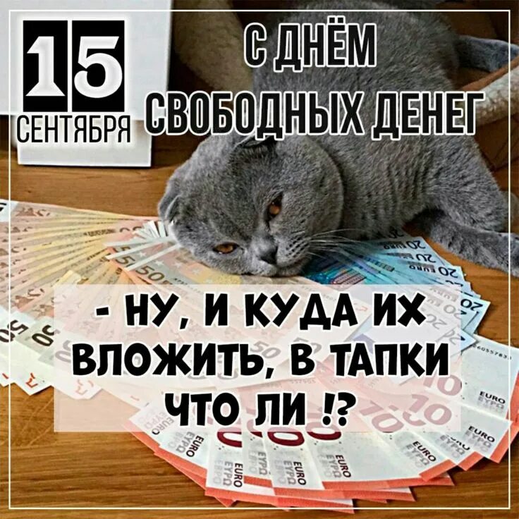Деньги. Праздники 15 сентября - день свободных денег. День свободных денег картинки прикольные. День свободных денег. День свободных денег картинки прикольные.