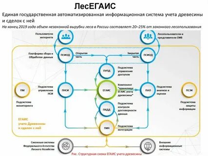 Егаис федеральное агентство лесного хозяйства