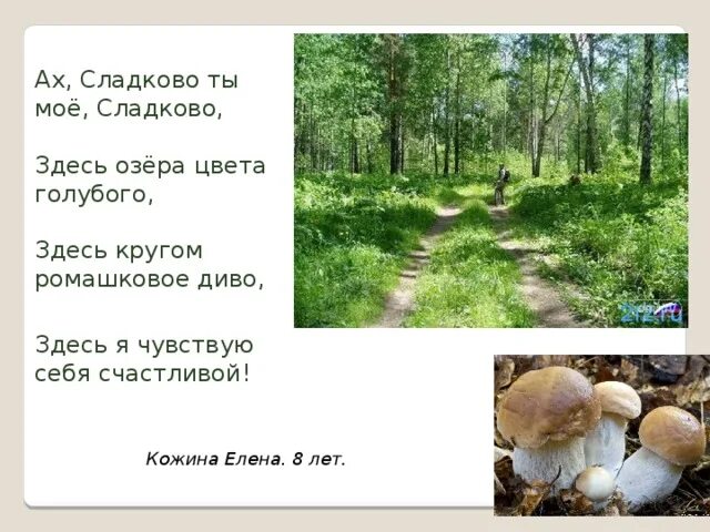Наш край родной большой страны частица. Герб балаково саратовская область. Родной край частица родины 2 класс. Наш край родной большой страны частица. Родной край частица родины презентация.
