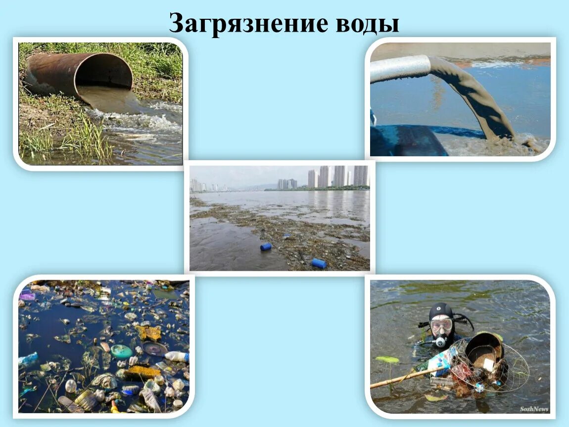 Экологический час" - "МККУ МКК "ЛПДК"