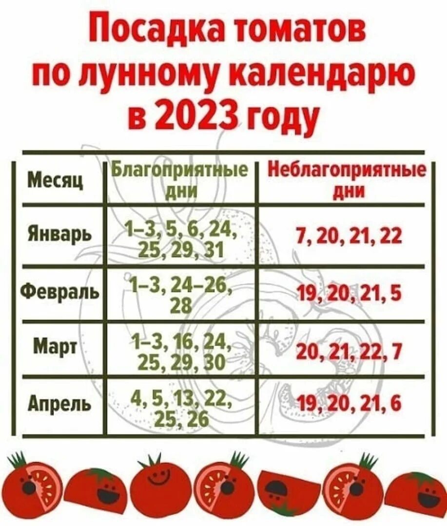 Здесь мог быть текст.