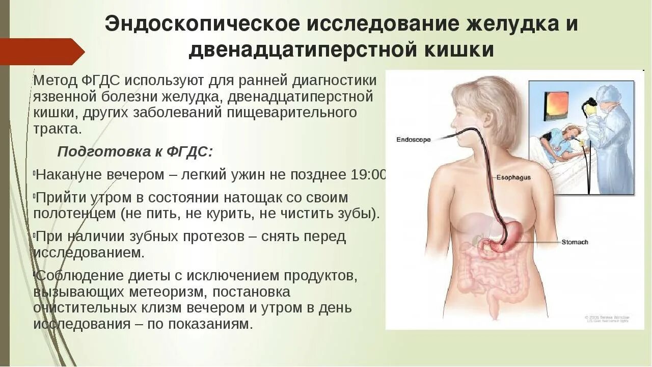 Подготовка к фиброгастроскопии желудка алгоритм. Эндоскопический метод обследования ЖКТ. ФГДС подготовка к обследованию пациентов. Подготовка пациента к ФГДС цель.