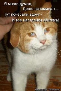Долго вспоминала