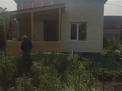 Снт любитель курск