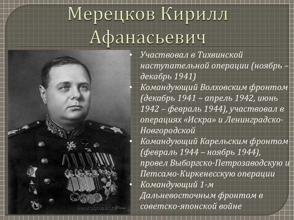 Мерецков Маршал советского Союза. Командующий генерал армии к. а. Мерецков. Кто принимает участие в операции