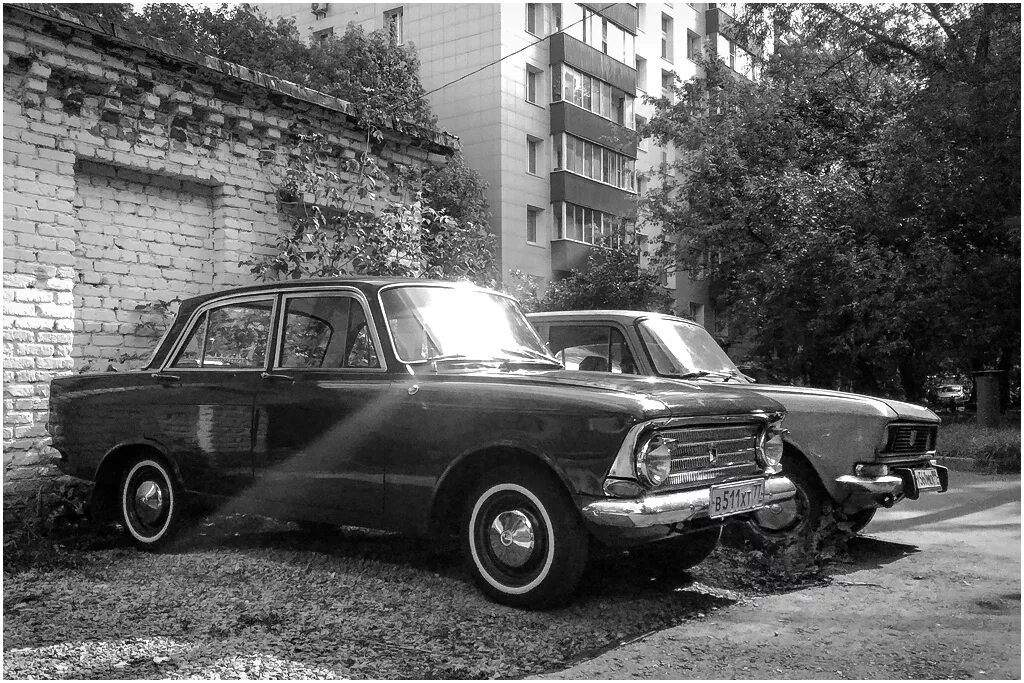 Коренные москвичи. Кто считается коренным москвичом. Коренной москвич поколение. Как считаются поколения москвич. Коренной москвич.