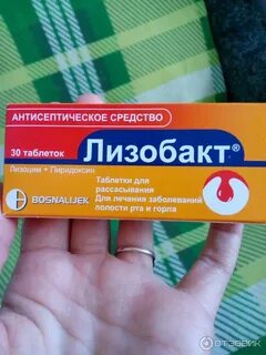 Лизобакт принимать до еды