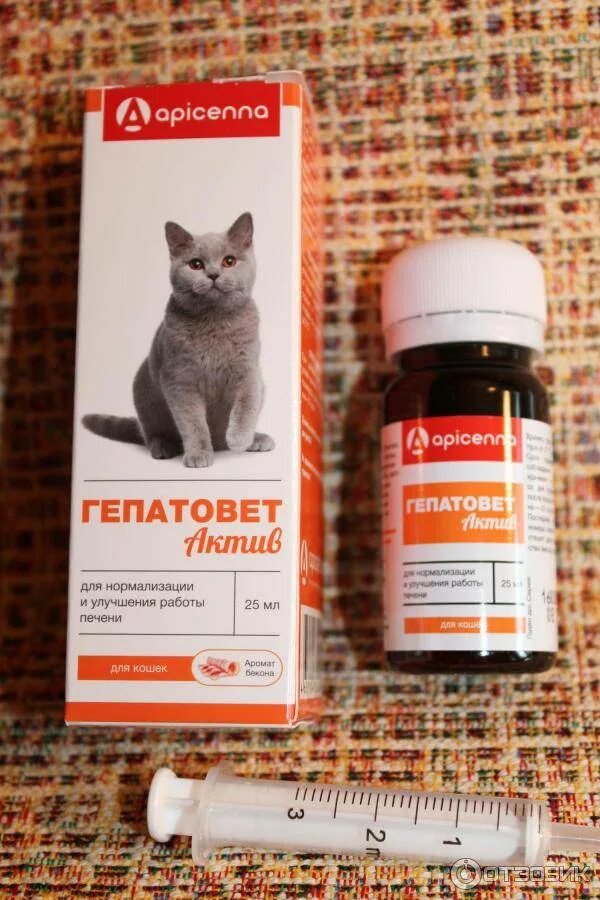 Можно ли кошке обезболивающее. Препарат для животных Гепатовет. Гепатовет таблетки для кошек. Обезболивающие для котов. Суспензия для печени для кошек.