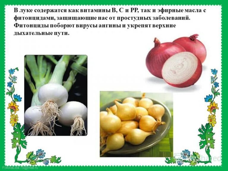 Витамины содержащиеся в луке репчатом. Лук витамины. витамины в луке. витамин л. вещества содержащиеся в луке.
