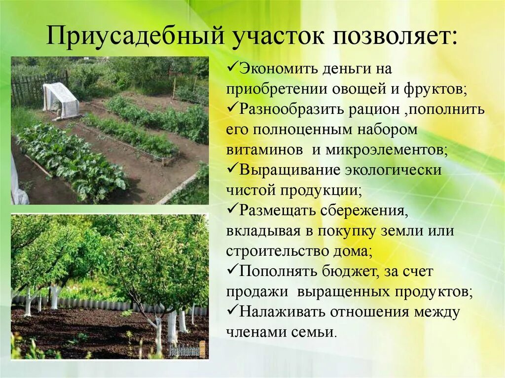 Правовой режим сельскохозяйственного назначения. Самовольное занятие участка. Личное использование земли. Экономика приусадебного участка. Земли сельских поселений.