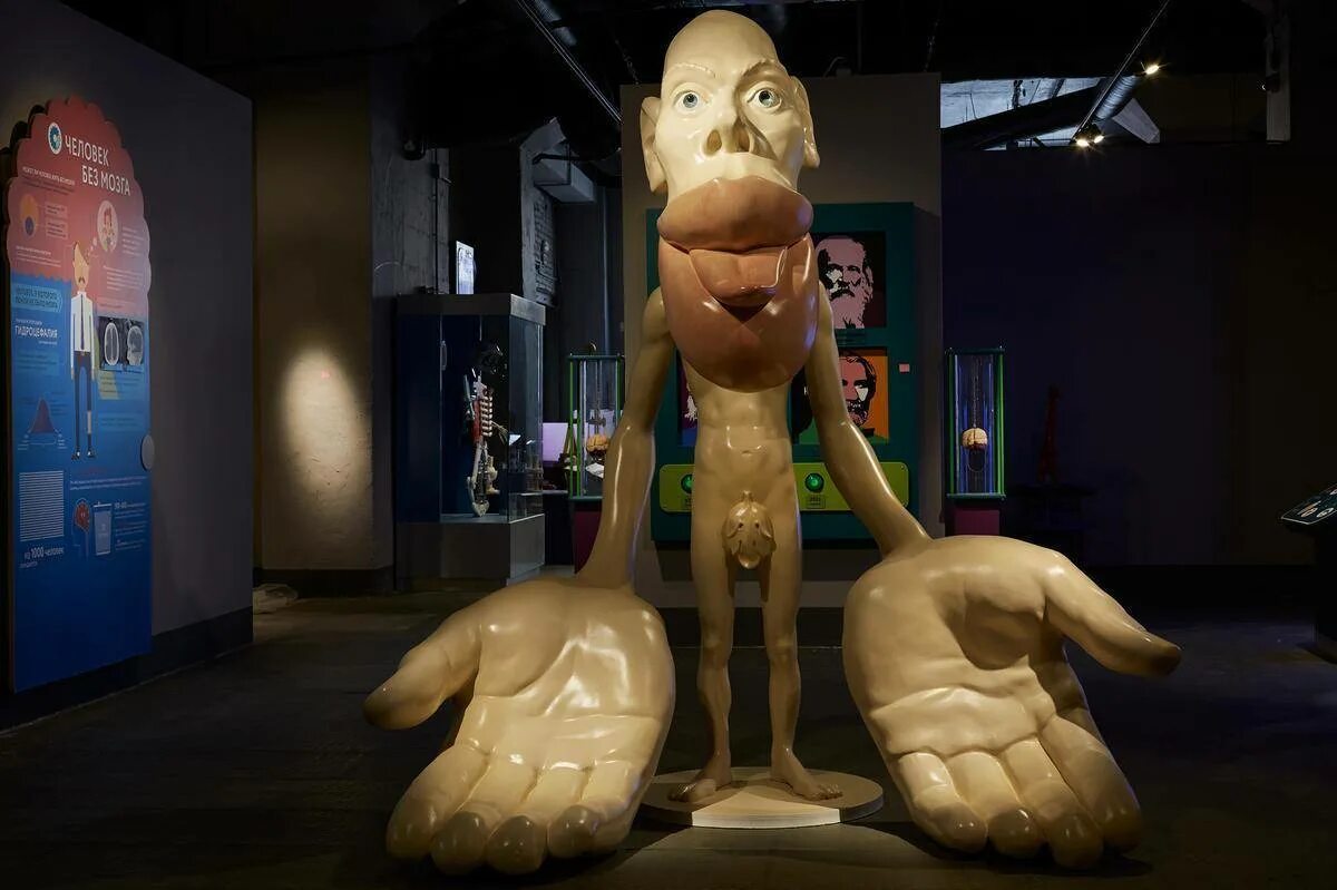 Живые системы клетка организм вид биоценоз. Музей на дмитровском шоссе живые системы. Живые системы и экосистемы. Экосистемная организация живой природы. Классификация видов живых организмов.