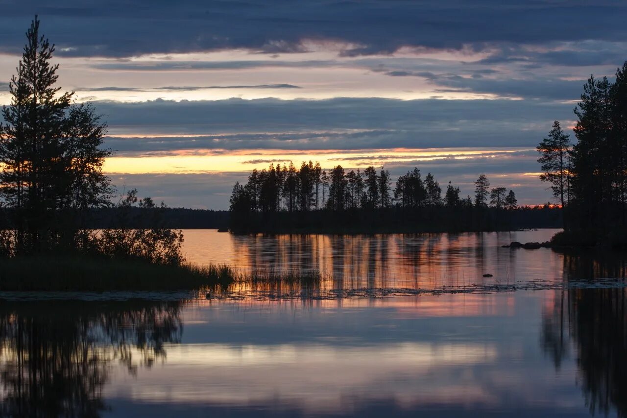 Сетями в белом море. Остров топоруха белое море. Терский берег кандалакшского залива. Сетями в белом море. Сетями в белом море.