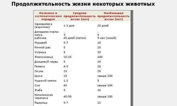 Таблица продолжительности жизни рыб. Продолжительность жизни животных 1 класс таблица. Таблица продолжительности жизни пресноводных рыб. Срок жизни рыбы таблица.