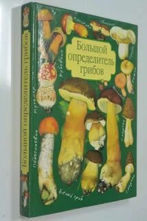 Наибольший определитель