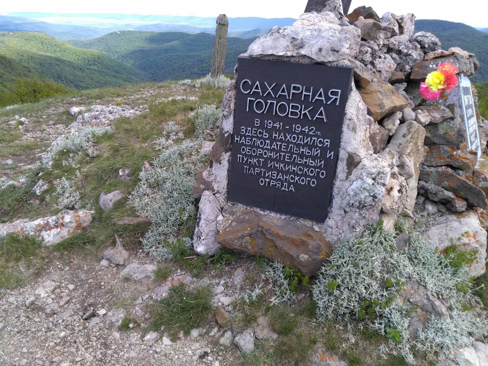 Сахарная головка купить