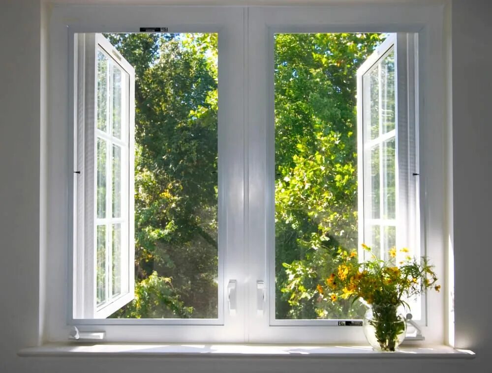 Tree window