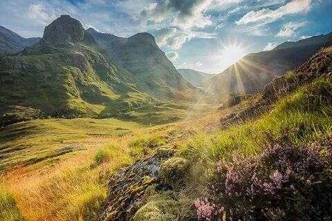 East highland