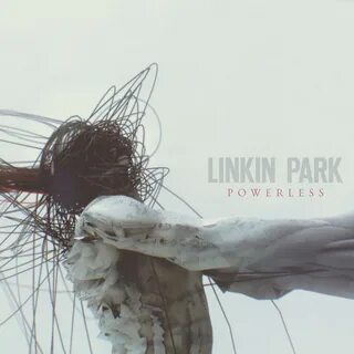 Linkin park erection