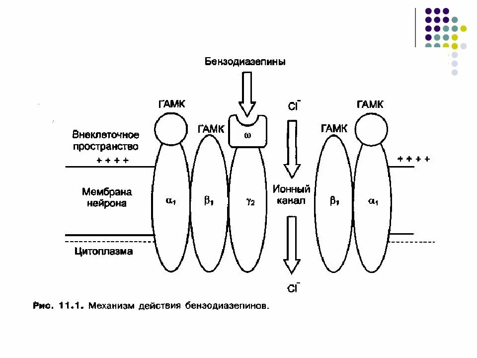 Снотворные механизм действия. Механизм действия бензодиазепинов. Механизм действия барбитуратов и бензодиазепинов схема. Механизм действия фенобарбитала фармакология. Механизм действия снотворных – производных бензодиазепинов.