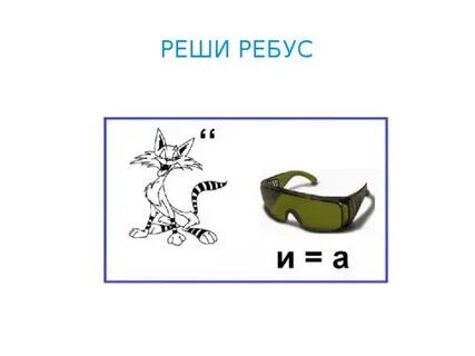 Ребус собака