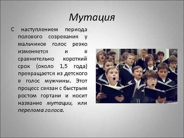 Почему у мальчиков ломается голос. Мутация голоса у мальчиков. как меняется голос у мальчиков. ломка голоса у мальчиков. половое созревание ломка голоса.