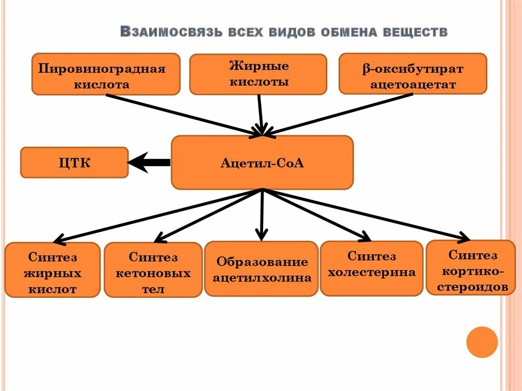 Глюкоземия. Взаимосвязь всех видов метаболизма. Взаимосвязь всех видов обмена веществ. Виды взаимосвязи. Взаимосвязь видов здоровья человека.