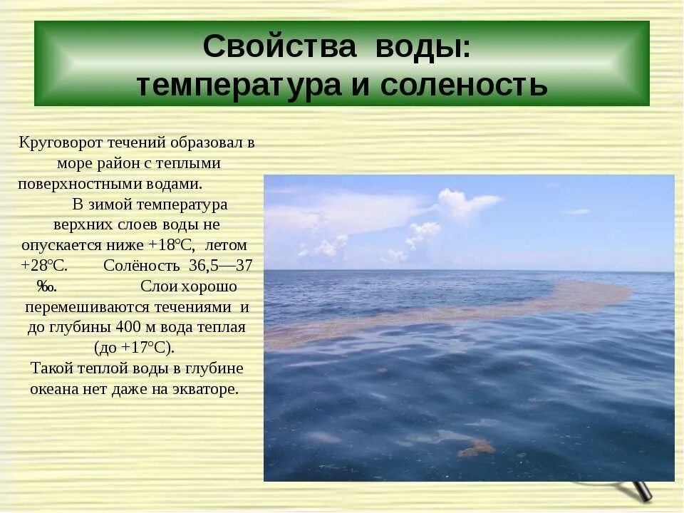 Температура воды охотское. Саргассово море. Соленость воды в морях. Особенности морей. Саргассово море интересные факты.