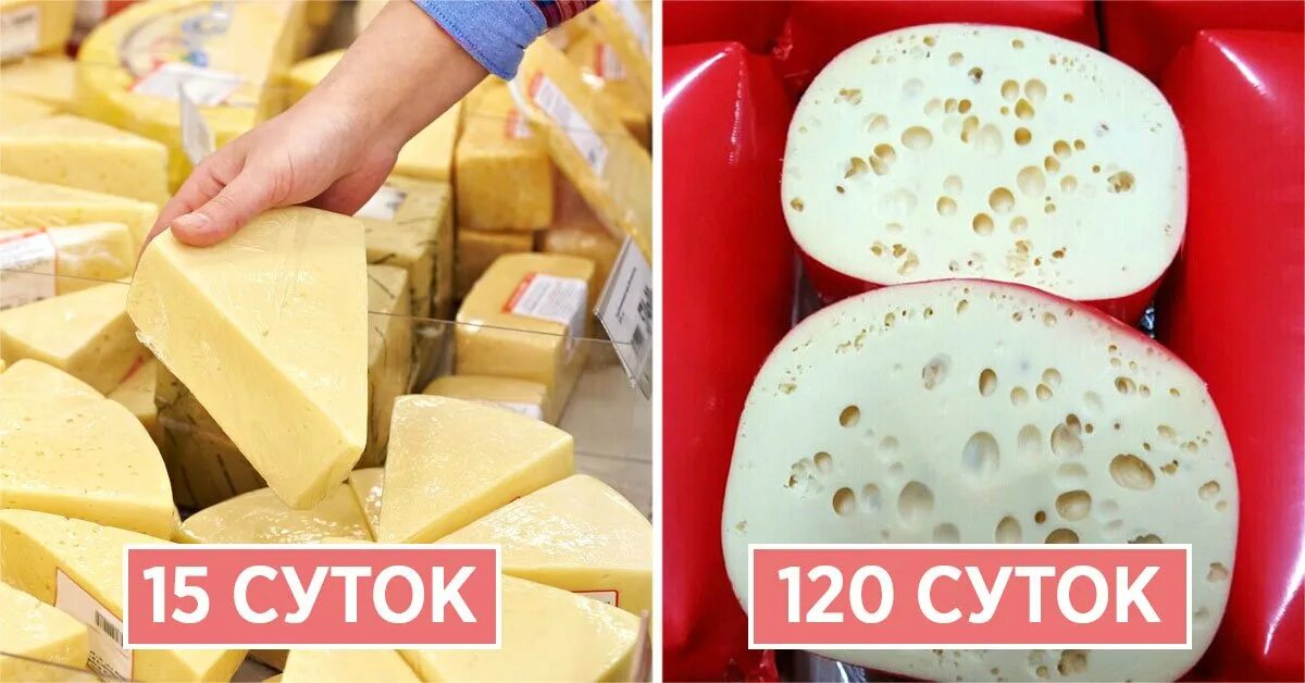 Можно ли хранить сыр без холодильника. Сыр в холодильнике. сыр в термопакете. хранить домашний сыр долго. хранение головок сыра.
