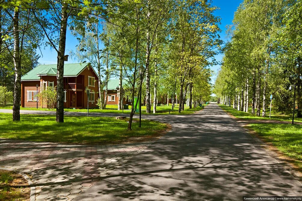 Zavidovo village. Завидово, деревня Шоша. Комплекс Завидово Тверская область. Парк Завидово Тверь. Тверская область, Конаковский район, большое Завидово.