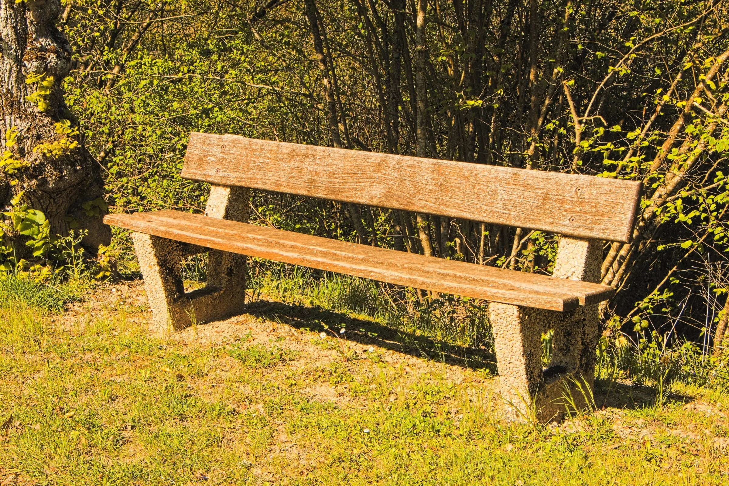 Natural public. Bench [бенч] — скамейка. Скамейка Парковая 19 век. Лавка деревянная. Скамейка из дерева.