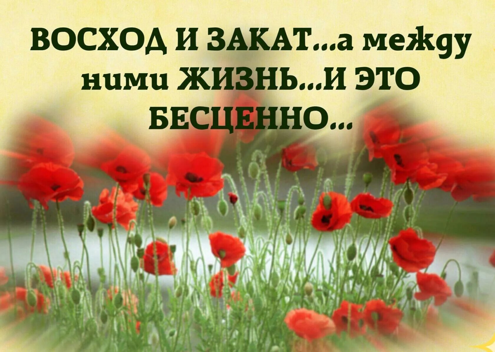 Бесценно. Восход и закат а между ними жизнь и это бесценно. жизнь бесценна. восход закат а между ними жизнь и это бесценно благословенного дня. дай бог вам только счастья и тепла прямых дорог и дружбы ваших близких.