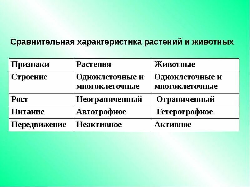 Сравнительные характеристики растений и животных таблица биология. Сравнение Царств растений и животных таблица. Сравнительная характеристика царства растений и животных. Сравнительная таблица растений и животных биология. Растения животные таблица сравнения