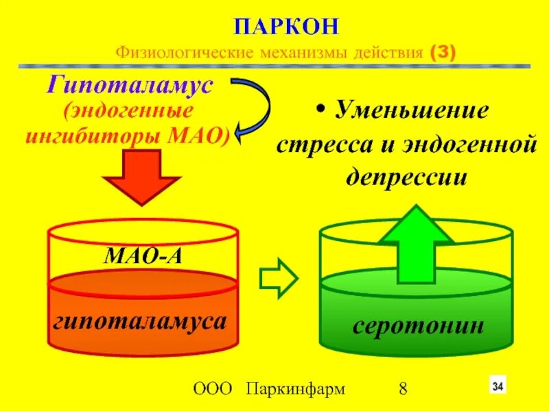 Механизм действия антидепрессантов ингибиторов Мао. Ингибиторы моноаминоксидазы механизм действия. Мао механизм действия. Ингибиторы Мао схема.