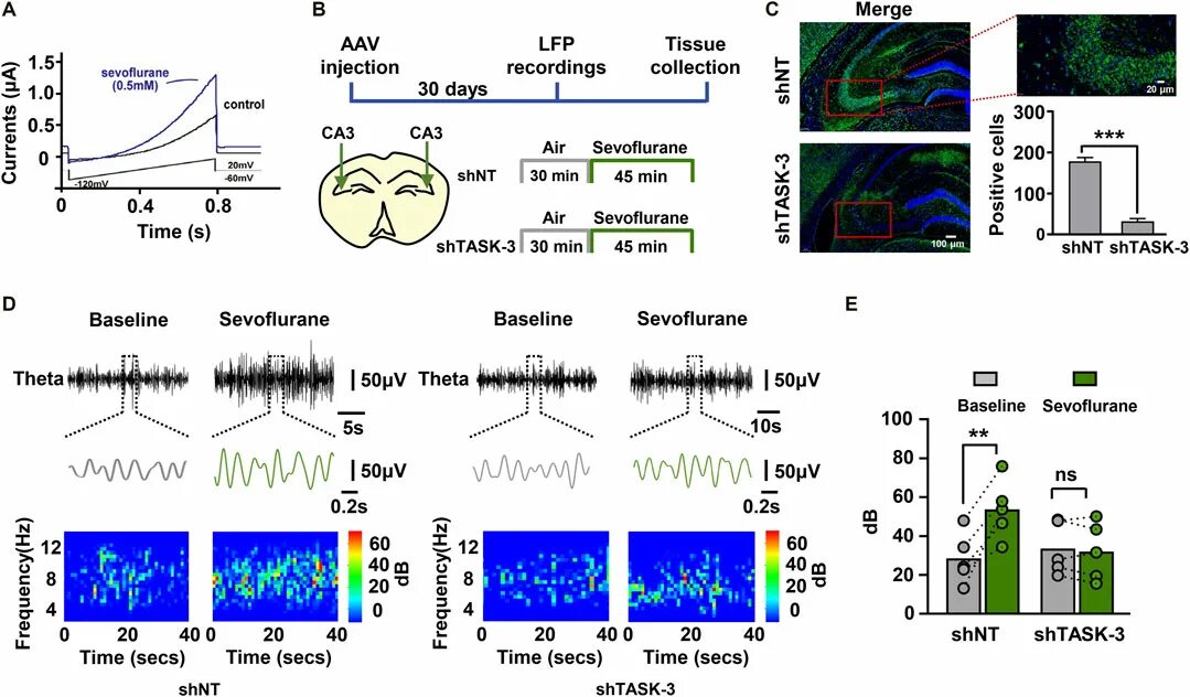 Cell current