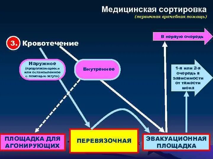 Первичная сортировка. Медицинская сортировка. первичная медицинская сортировка. особенности медицинской сортировки. вторичная медицинская сортировка.
