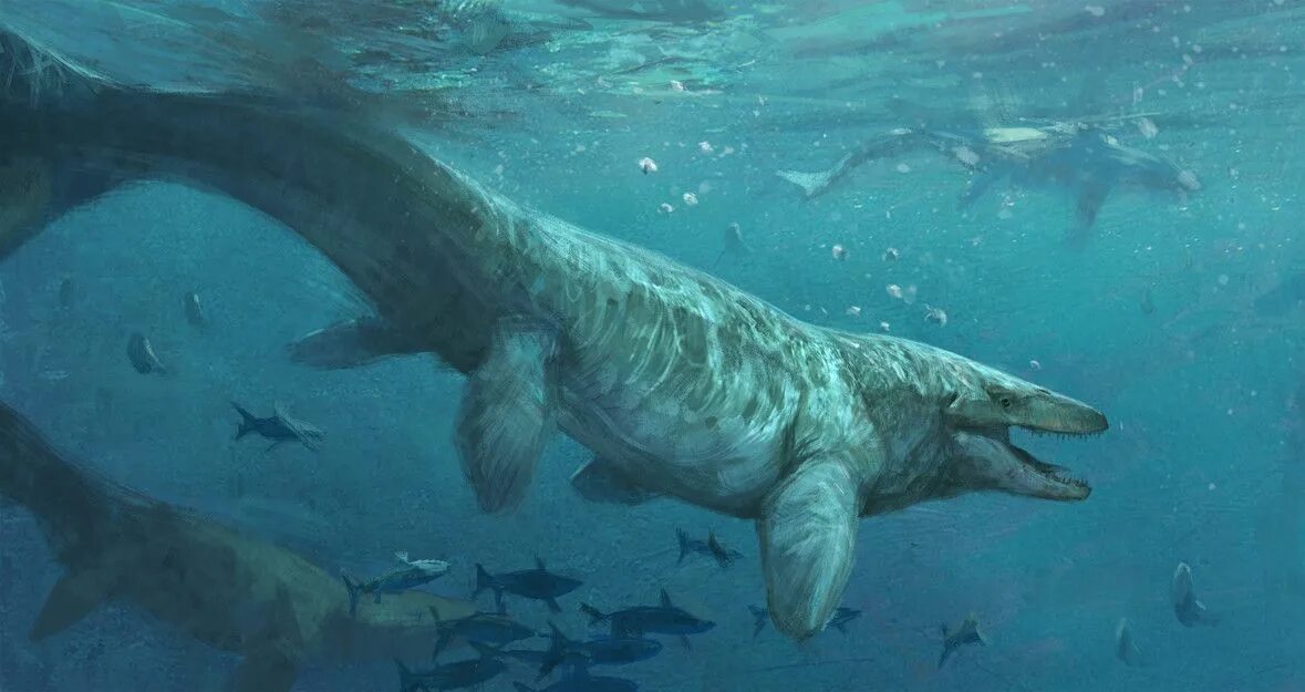 Мозазавр Гоффмана. Mosasaurus paleoart. Мозазавр Mosasaurus. Мозазавр Доисторическая Планета.