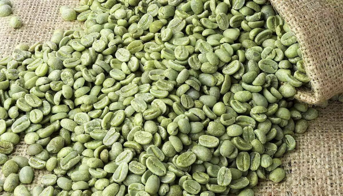 День зеленого кофе. Зеленый кофе. Зеленый кофе в зернах. Зеленые Бобы кофе. Зеленое кофе название.