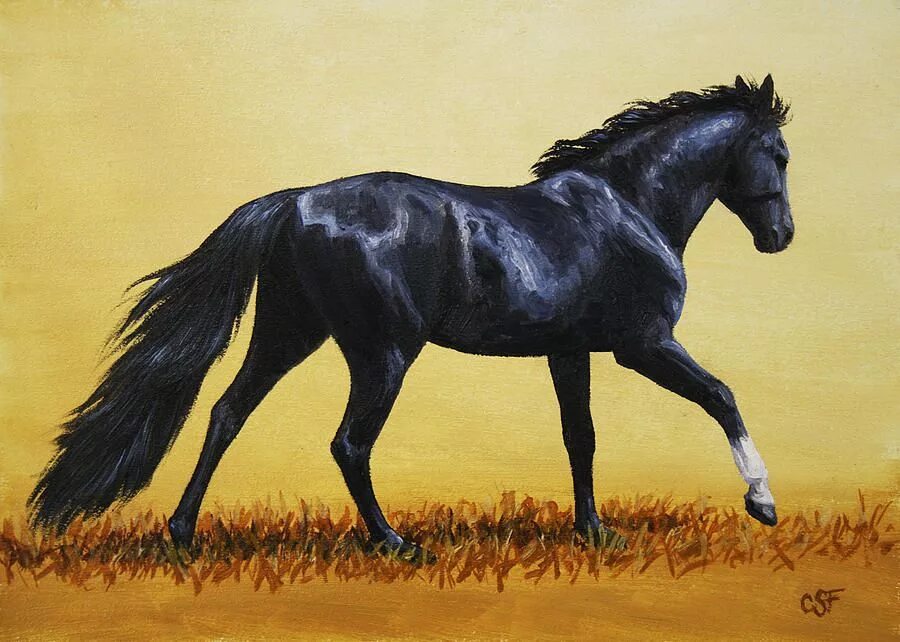 Про черного коня. Лошади в живописи. Черный конь картина. Картина черная лошадь.