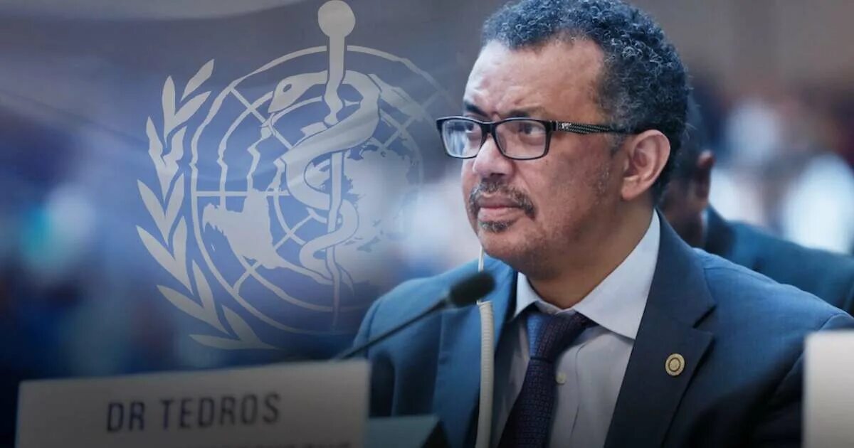 Воз тедрос аданом гебрейесус. Тедрос адханом гебрейесус воз. Генеральный директор воз. Глава воз тедрос адханом. Генеральный воз.